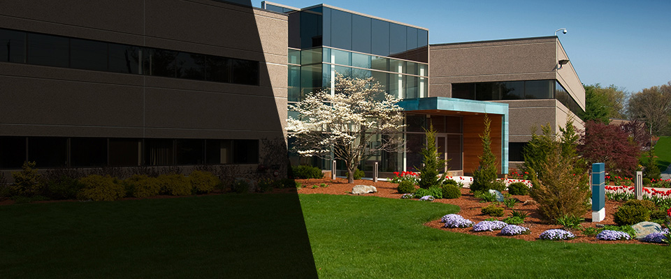 Roswell Landscapers