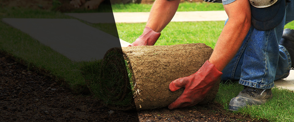 Roswell Landscapers